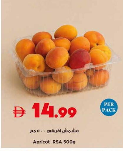 Apricot available at تروليز سوبرماركت in الإمارات العربية المتحدة , الامارات - الشارقة / عجمان