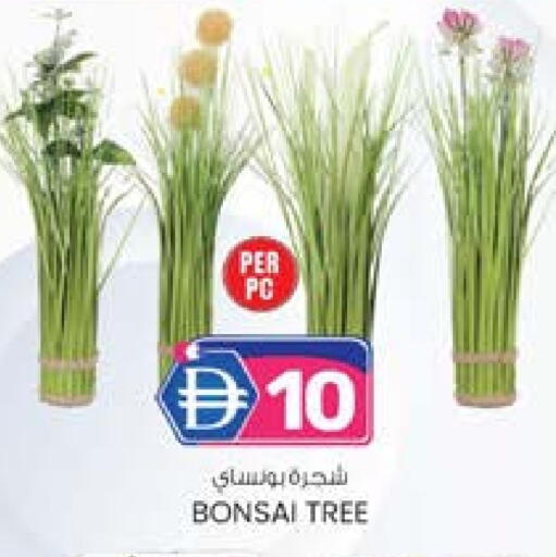 available at ك. الم. للتجارة in الإمارات العربية المتحدة , الامارات - ٱلْفُجَيْرَة‎