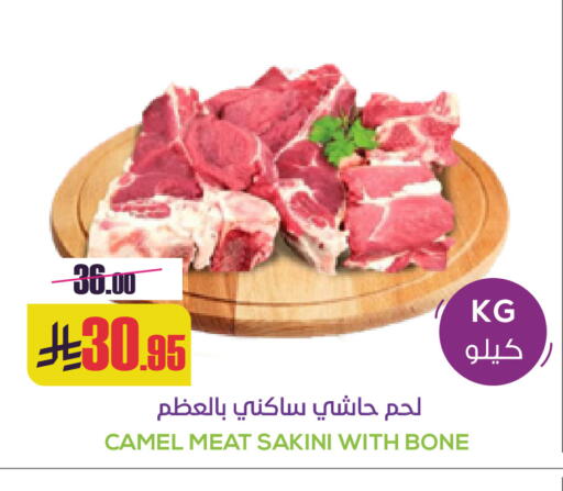 available at سبت in مملكة العربية السعودية, السعودية, سعودية - بريدة