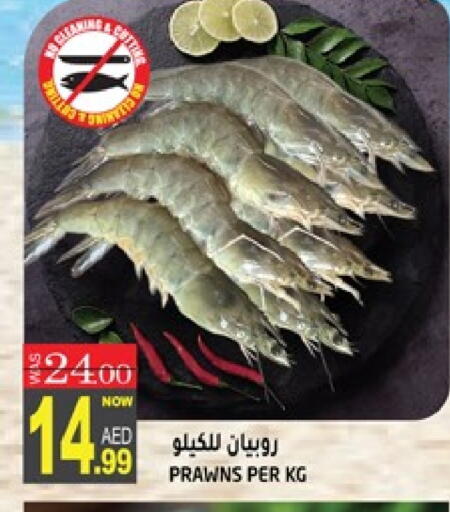 available at هاشم هايبرماركت in الإمارات العربية المتحدة , الامارات - الشارقة / عجمان