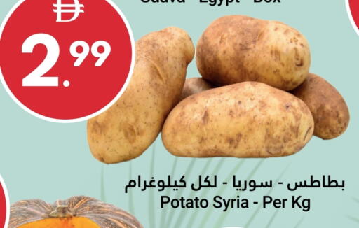 بطاطا from Syria available at جراند الإمارات للتسوق in الإمارات العربية المتحدة , الامارات - أبو ظبي
