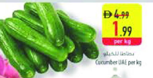 خيار available at السفير ماركت in الإمارات العربية المتحدة , الامارات - الشارقة / عجمان