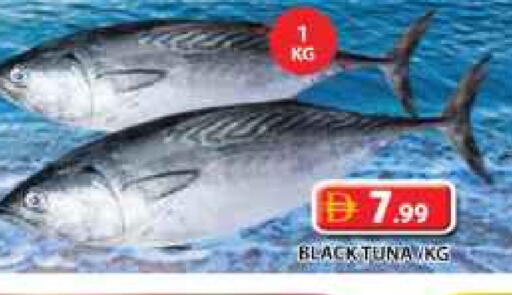 تونة available at جراند هايبر ماركت in الإمارات العربية المتحدة , الامارات - الشارقة / عجمان