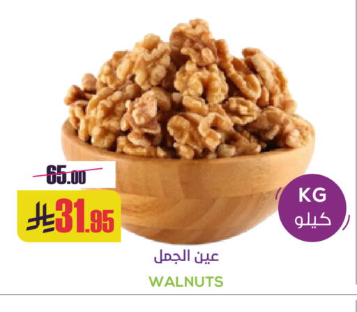 available at Sapt in KSA, Saudi Arabia, Saudi - Buraidah
