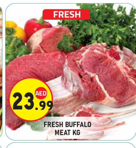 available at سنابل بني ياس in الإمارات العربية المتحدة , الامارات - ٱلْعَيْن‎