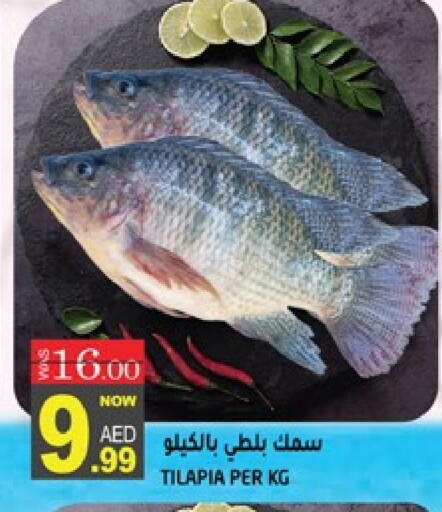 available at هاشم هايبرماركت in الإمارات العربية المتحدة , الامارات - الشارقة / عجمان