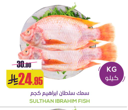 available at سبت in مملكة العربية السعودية, السعودية, سعودية - بريدة