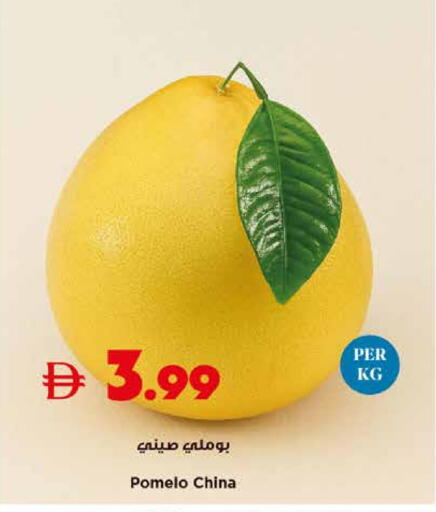 from China available at تروليز سوبرماركت in الإمارات العربية المتحدة , الامارات - الشارقة / عجمان