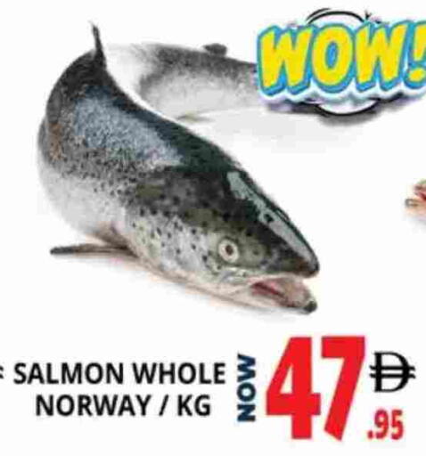 available at اكسبرس المدينة هايبرماركت in الإمارات العربية المتحدة , الامارات - أبو ظبي