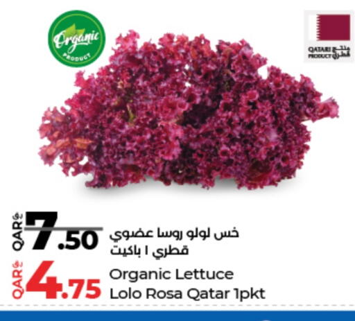 Lettuce from Qatar available at LuLu Hypermarket in Qatar - Al Wakra