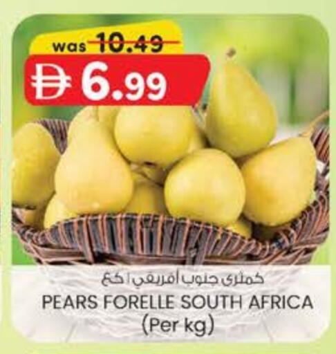 from South Africa available at ك. الم. للتجارة in الإمارات العربية المتحدة , الامارات - ٱلْفُجَيْرَة‎