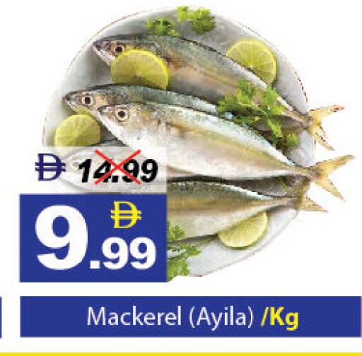 available at ديزرت فريش ماركت in الإمارات العربية المتحدة , الامارات - أبو ظبي