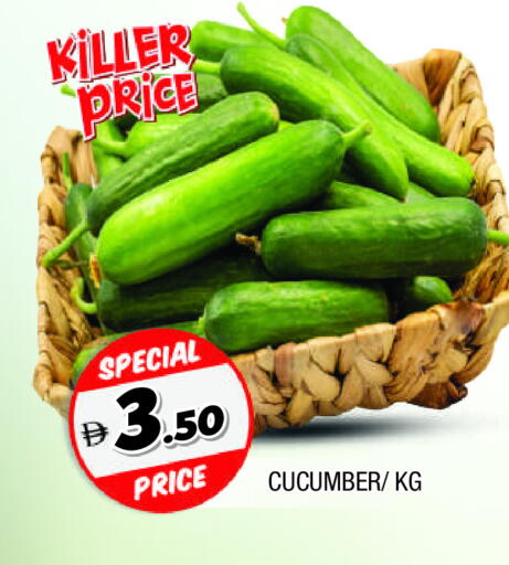 خيار available at المدينة in الإمارات العربية المتحدة , الامارات - الشارقة / عجمان