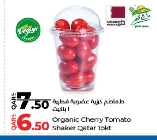Tomato from Qatar available at LuLu Hypermarket in Qatar - Al Wakra