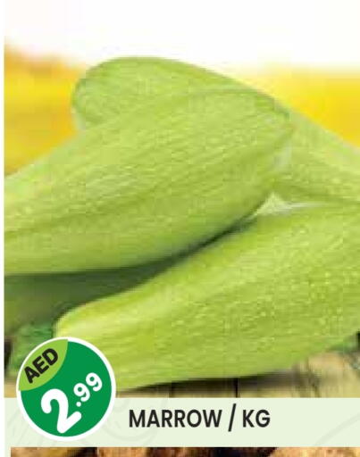 Marrow available at سنابل بني ياس in الإمارات العربية المتحدة , الامارات - أم القيوين‎