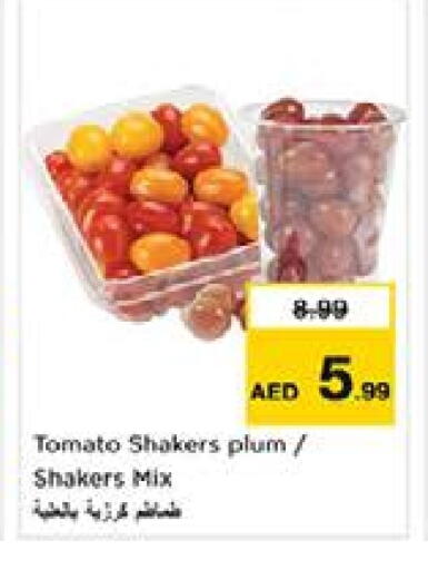 Plum Tomato available at نستو هايبرماركت in الإمارات العربية المتحدة , الامارات - الشارقة / عجمان