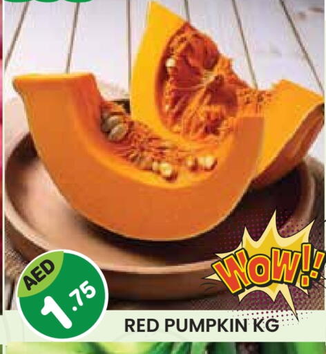 Pumpkin available at سنابل بني ياس in الإمارات العربية المتحدة , الامارات - أبو ظبي