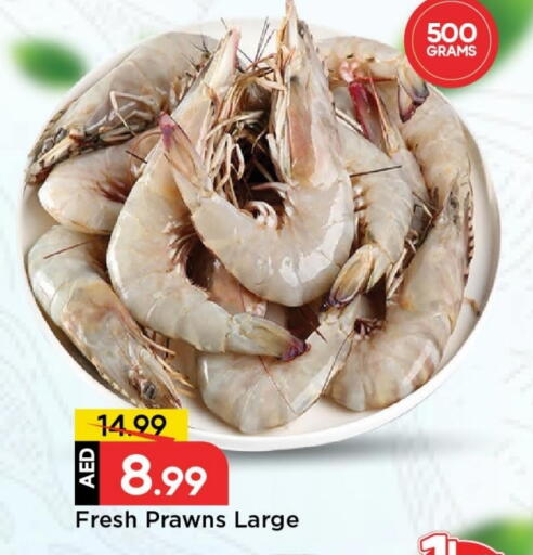 available at مارك & سيف in الإمارات العربية المتحدة , الامارات - الشارقة / عجمان