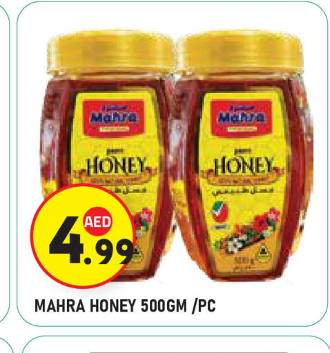 عسل available at سنابل بني ياس in الإمارات العربية المتحدة , الامارات - ٱلْعَيْن‎