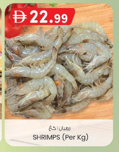 available at Safa Express Supermarket in UAE - Al Ain