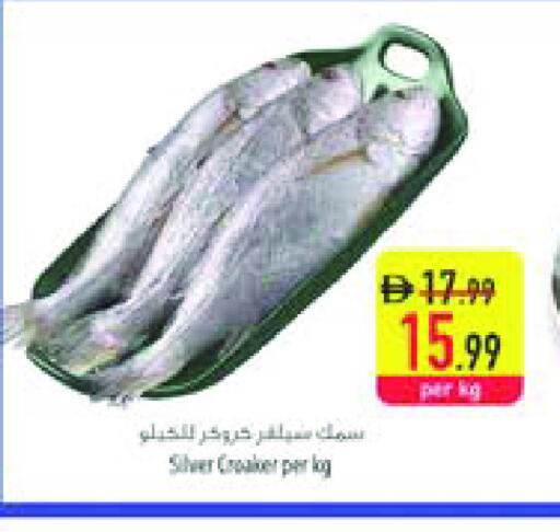 available at السفير ماركت in الإمارات العربية المتحدة , الامارات - رَأْس ٱلْخَيْمَة