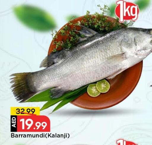 Apricot available at مارك & سيف in الإمارات العربية المتحدة , الامارات - الشارقة / عجمان