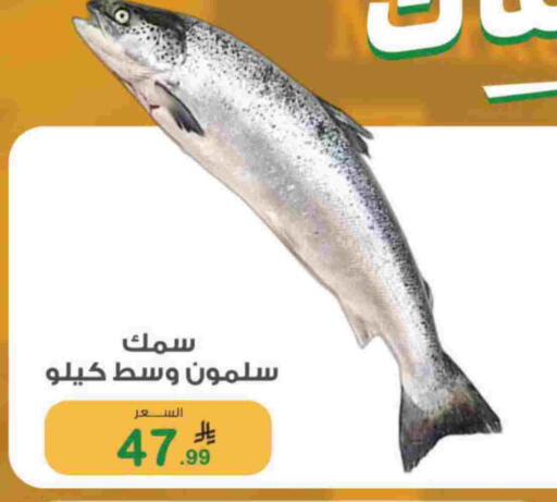 available at أسواق الرشيد in مملكة العربية السعودية, السعودية, سعودية - الرياض
