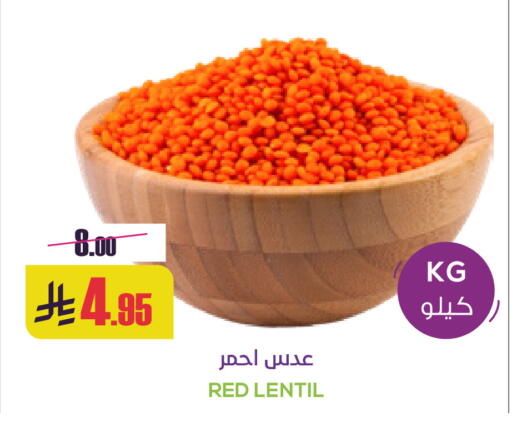 available at سبت in مملكة العربية السعودية, السعودية, سعودية - بريدة