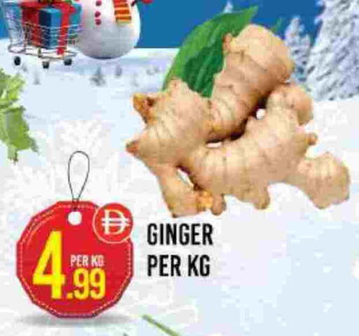 Ginger available at دريم لاند in الإمارات العربية المتحدة , الامارات - دبي