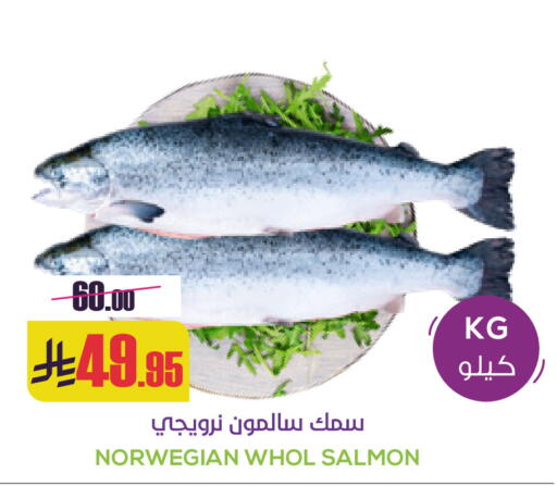 available at سبت in مملكة العربية السعودية, السعودية, سعودية - بريدة