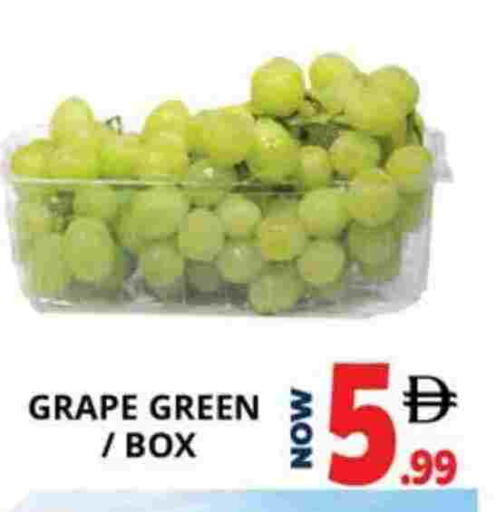 available at اكسبرس المدينة هايبرماركت in الإمارات العربية المتحدة , الامارات - أبو ظبي