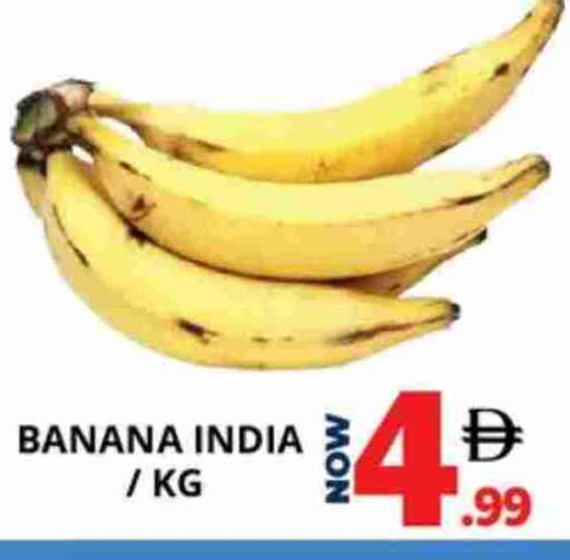 Banana from India available at اكسبرس المدينة هايبرماركت in الإمارات العربية المتحدة , الامارات - أبو ظبي
