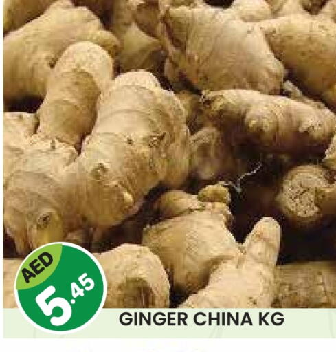 زنجبيل from China available at سنابل بني ياس in الإمارات العربية المتحدة , الامارات - أبو ظبي