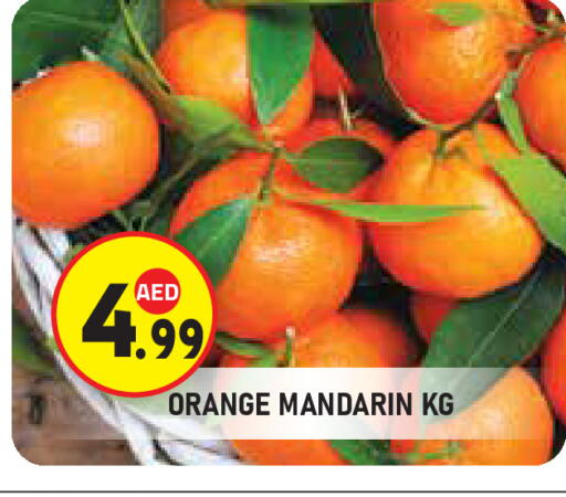 برتقال available at سنابل بني ياس in الإمارات العربية المتحدة , الامارات - أبو ظبي