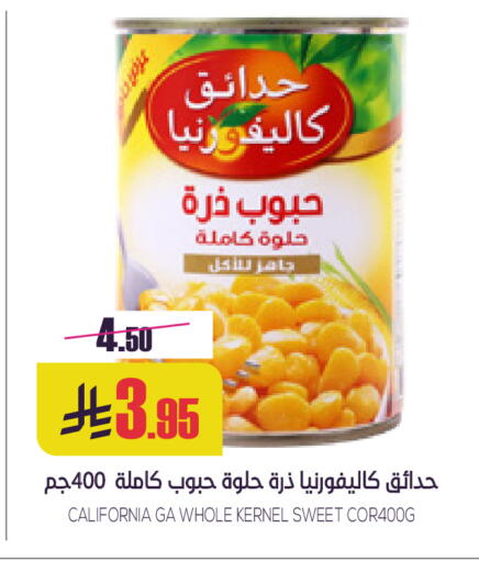 CALIFORNIA available at Sapt in KSA, Saudi Arabia, Saudi - Buraidah