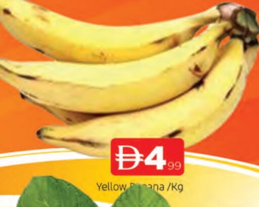 available at AL MADINA in UAE - Sharjah / Ajman