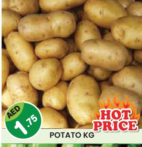 بطاطا available at سنابل بني ياس in الإمارات العربية المتحدة , الامارات - أبو ظبي