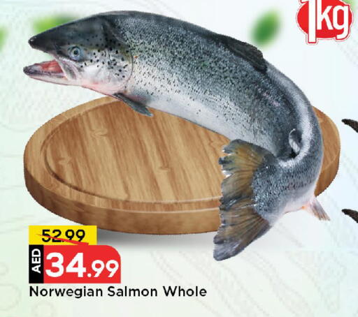 available at مارك & سيف in الإمارات العربية المتحدة , الامارات - الشارقة / عجمان