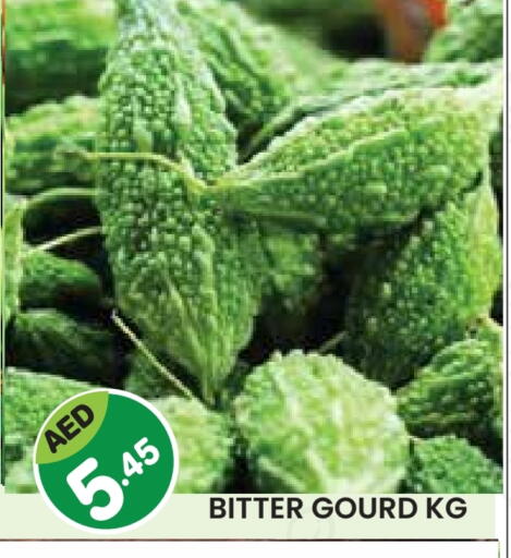 Gourd available at Fresh Spike Supermarket in UAE - Dubai
