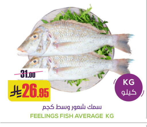 available at سبت in مملكة العربية السعودية, السعودية, سعودية - بريدة