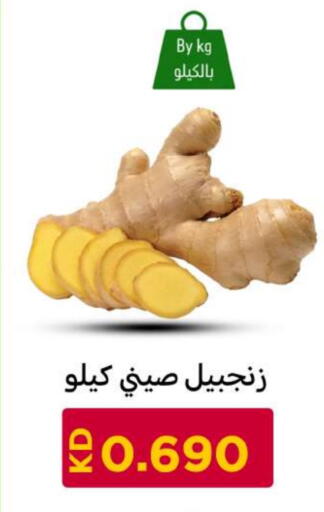 available at شركة سوق ميم المركزي  in الكويت - محافظة الجهراء