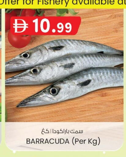 available at صفا اكسبريس سوبرماركت in الإمارات العربية المتحدة , الامارات - أبو ظبي