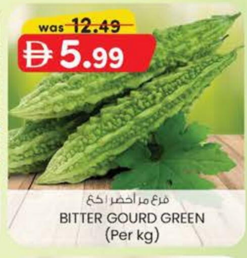 قرع available at ك. الم. للتجارة in الإمارات العربية المتحدة , الامارات - أبو ظبي