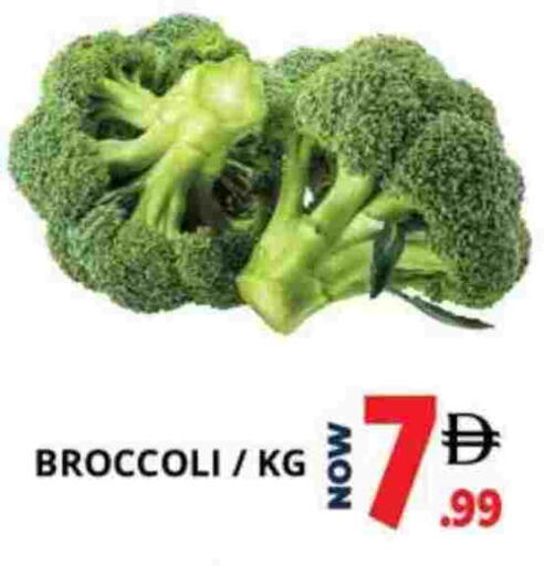 Broccoli available at اكسبرس المدينة هايبرماركت in الإمارات العربية المتحدة , الامارات - أبو ظبي