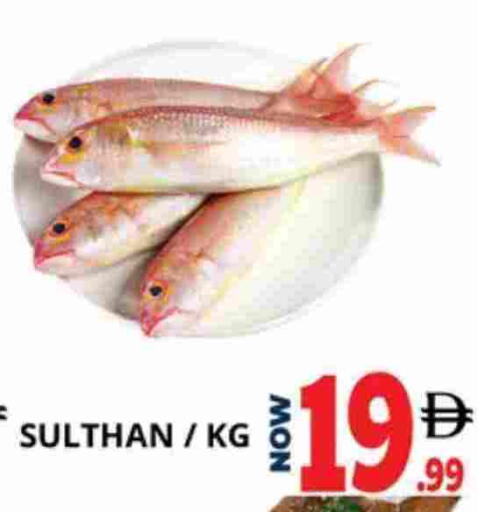 available at اكسبرس المدينة هايبرماركت in الإمارات العربية المتحدة , الامارات - أبو ظبي