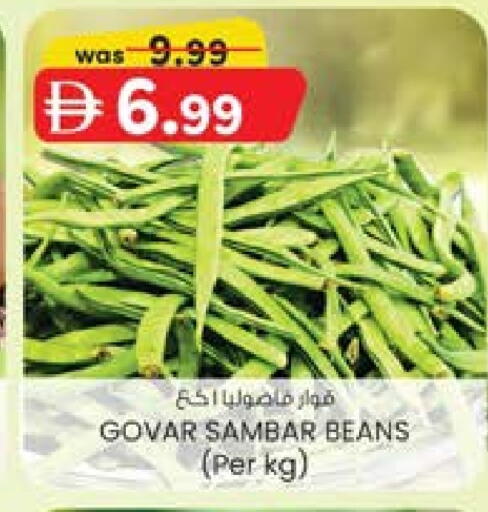 فاصوليا available at ك. إم. هايبرماركت in الإمارات العربية المتحدة , الامارات - ٱلْعَيْن‎