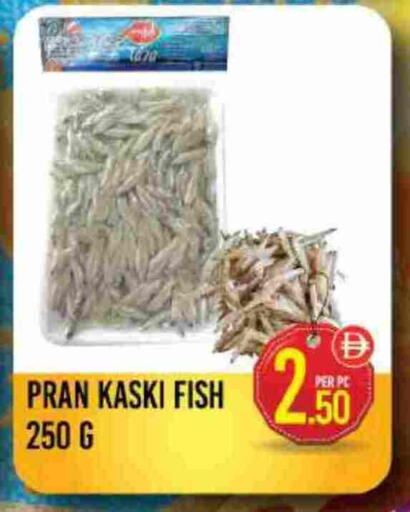 available at دريم لاند in الإمارات العربية المتحدة , الامارات - دبي