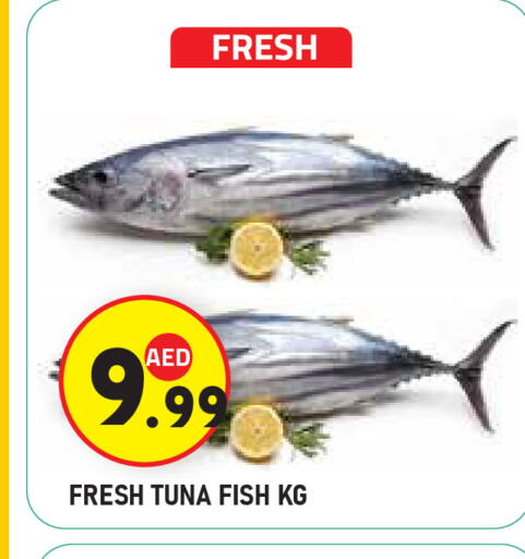 Tuna available at Baniyas Spike  in UAE - Al Ain