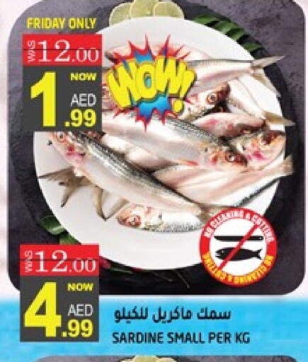 available at هاشم هايبرماركت in الإمارات العربية المتحدة , الامارات - الشارقة / عجمان