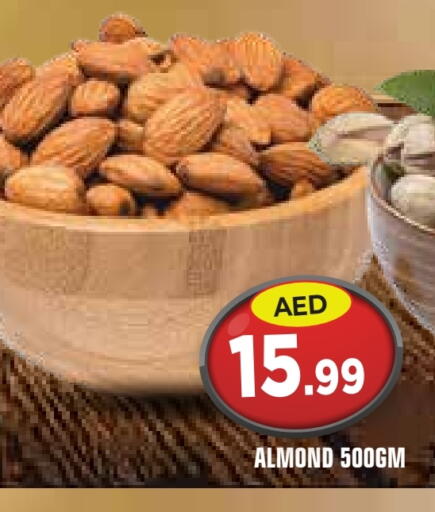 available at سنابل بني ياس in الإمارات العربية المتحدة , الامارات - أم القيوين‎